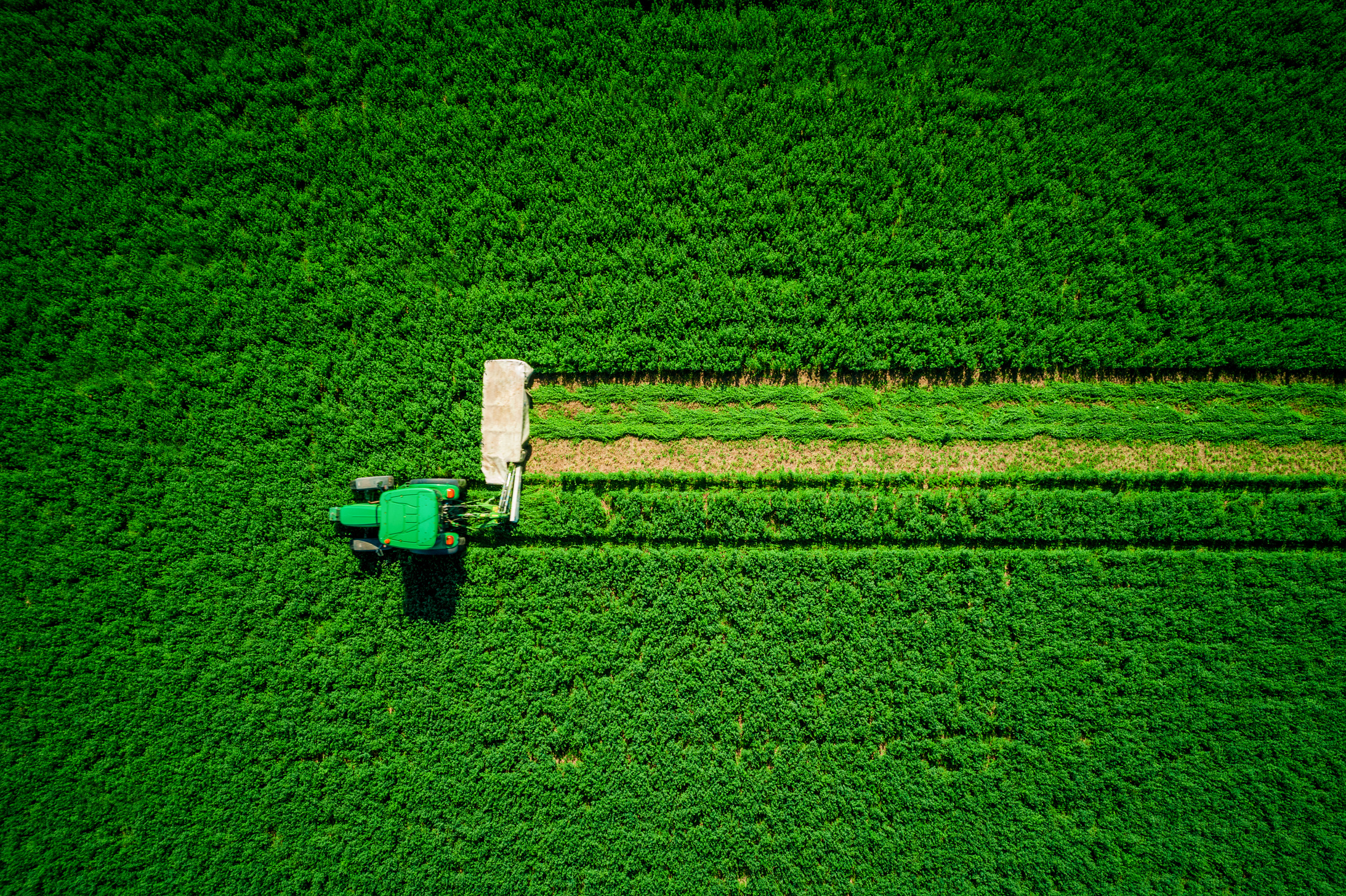 Tractor mowing agricultural green field, aerial drone view.